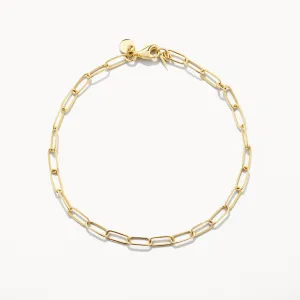 Classic Paperclip Chain Bracelet in 10k Gold