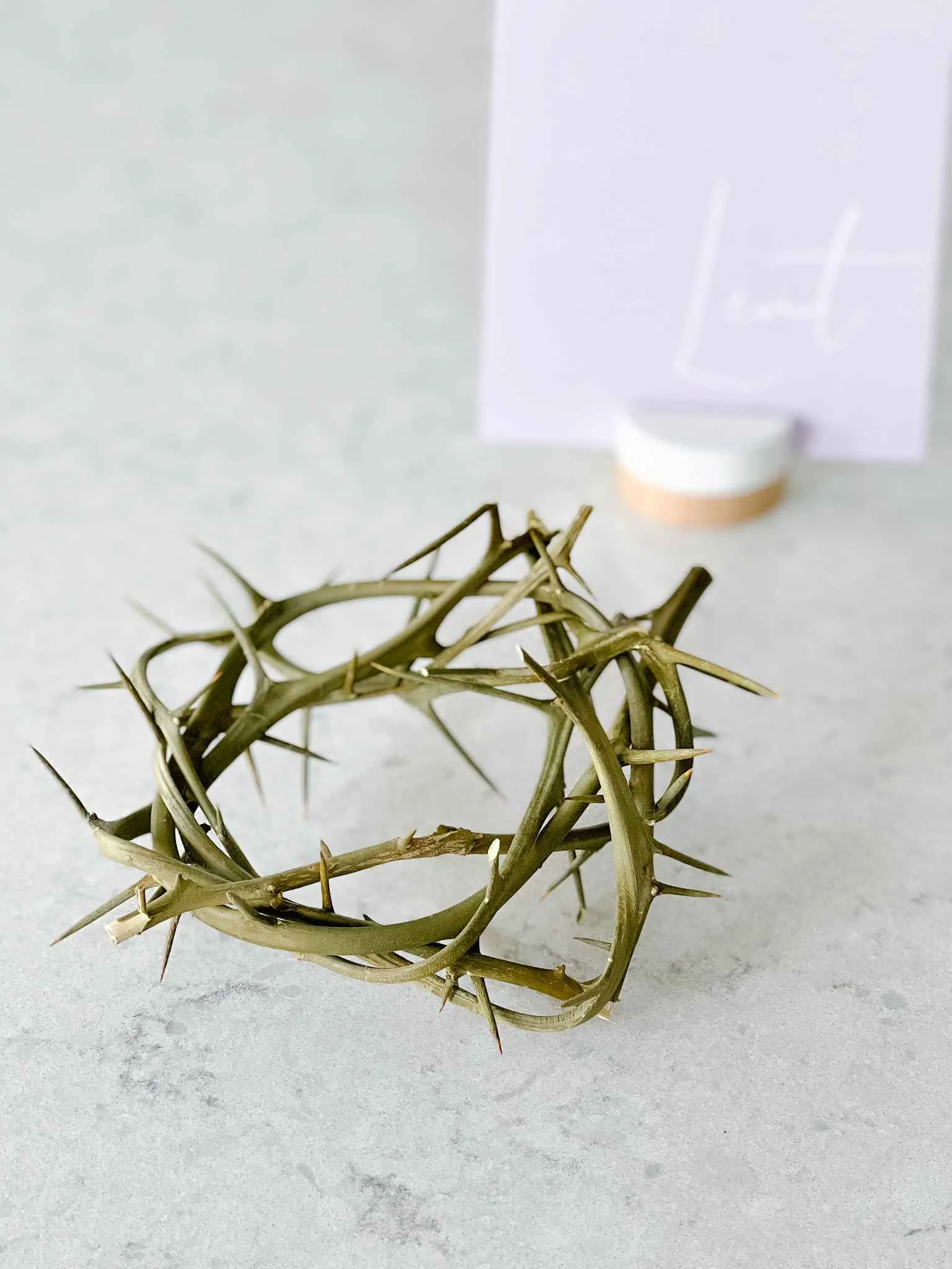 Crown of Thorns