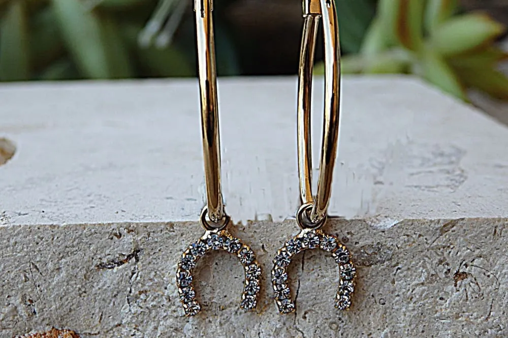 Hoops earrings