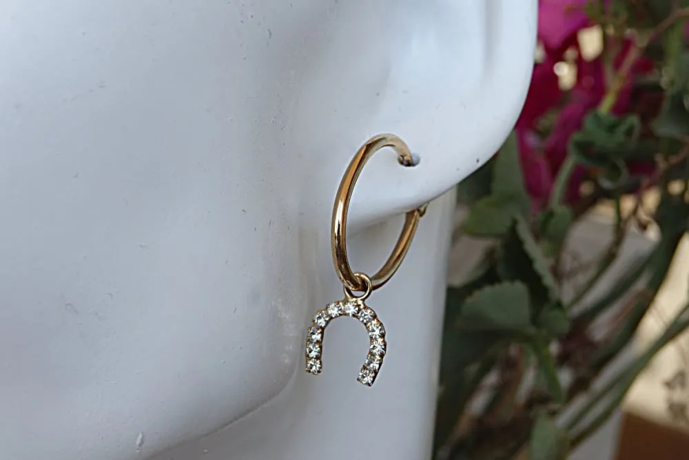 Hoops earrings