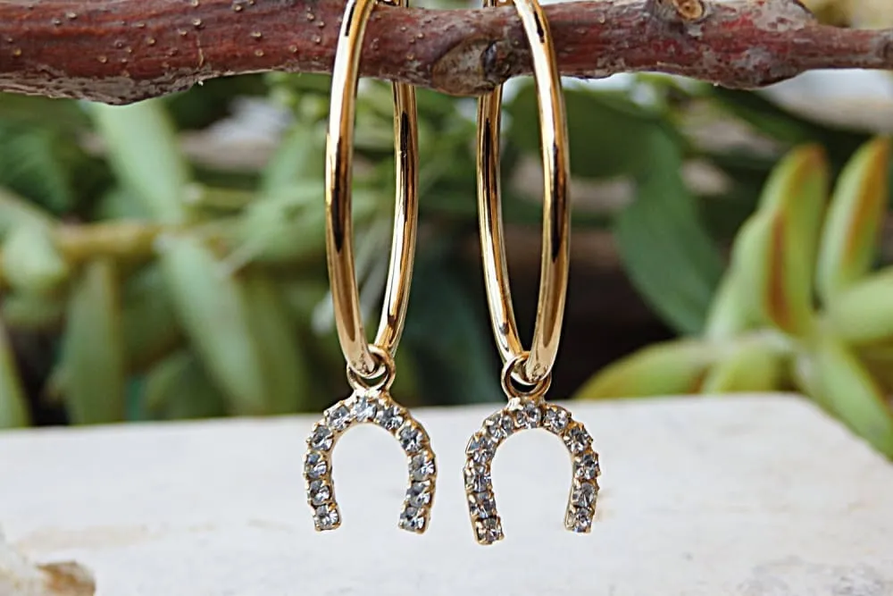 Hoops earrings