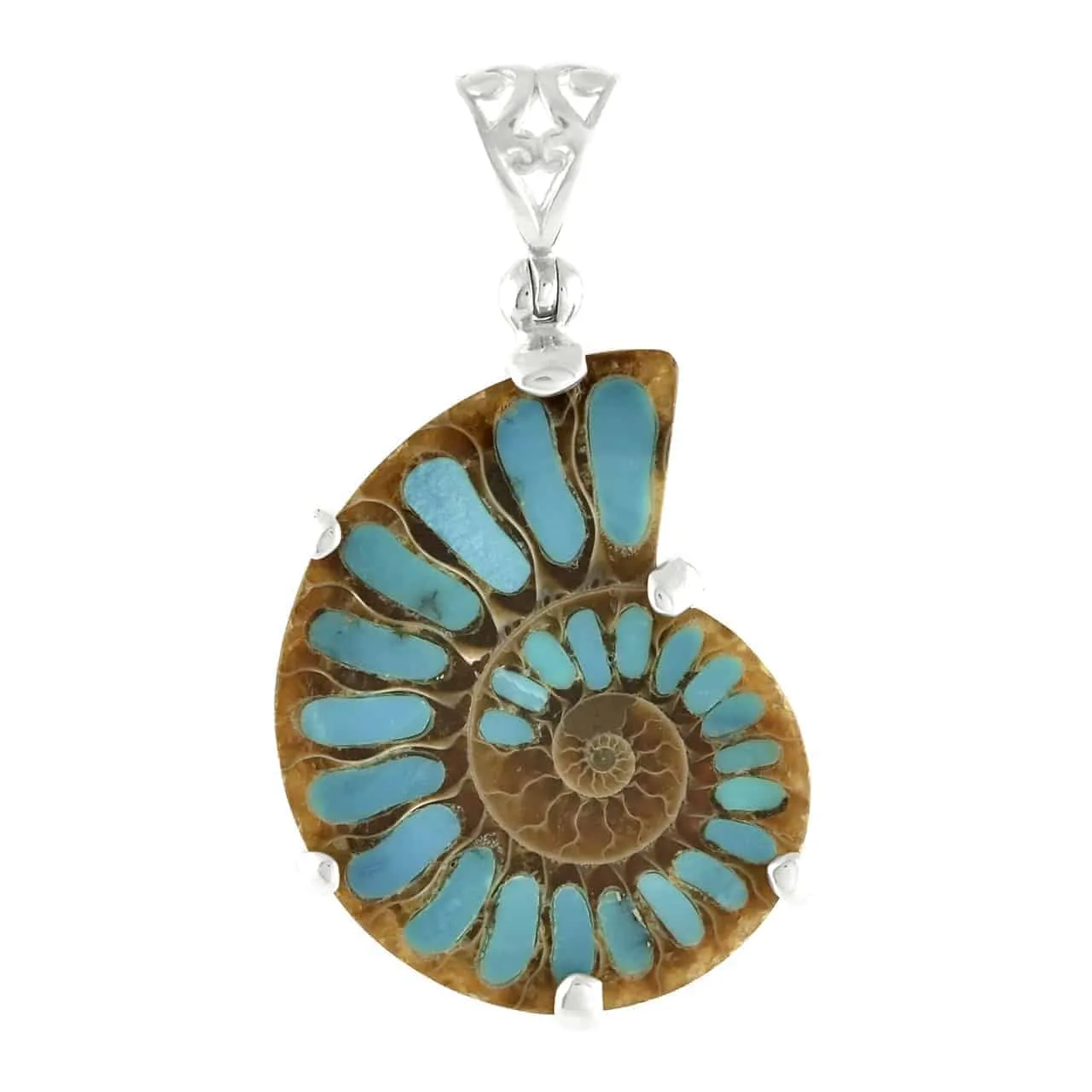 Starborn Ammonite with Turquoise Inlay Pendant in Sterling Silver